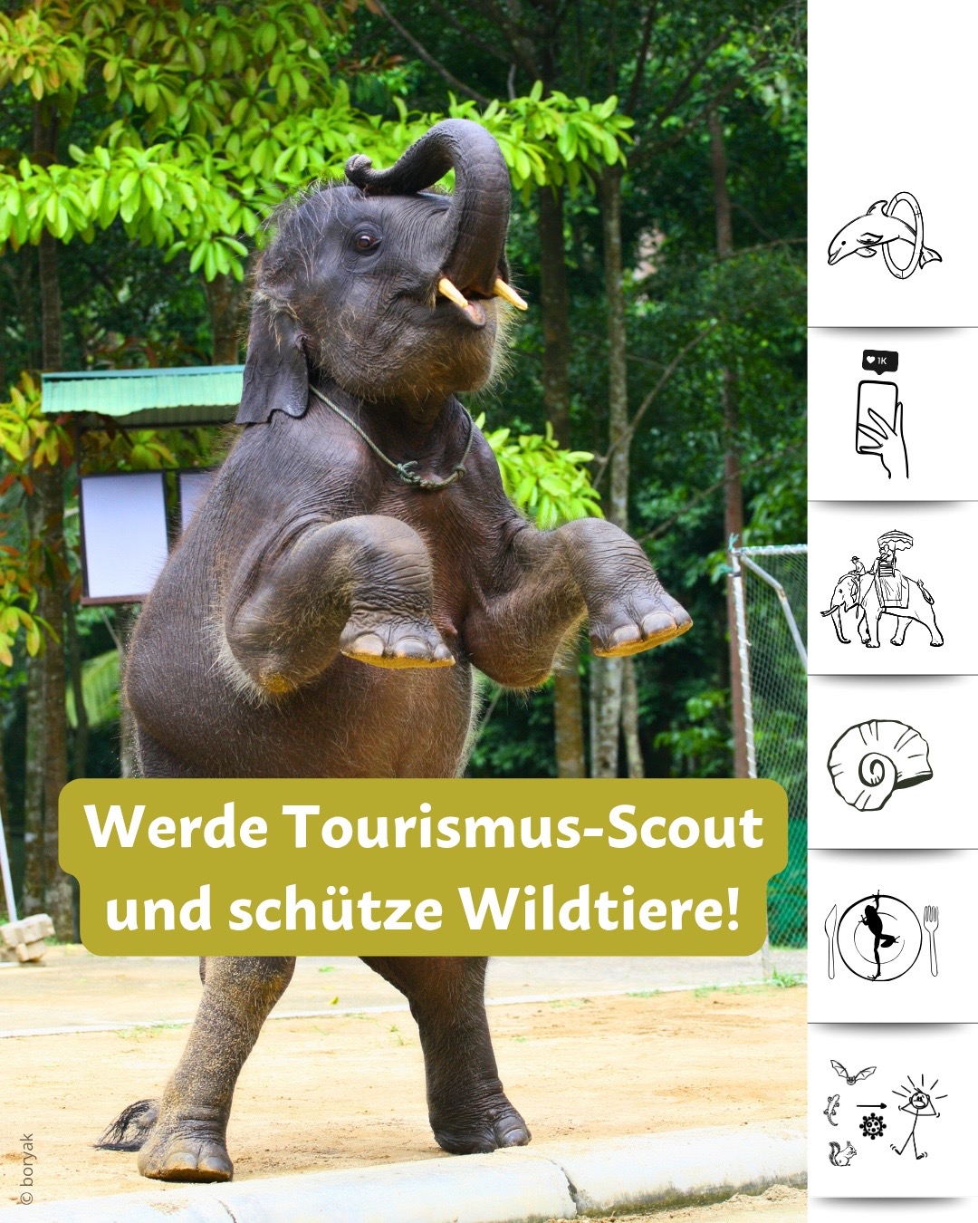 @Pro Wildlife