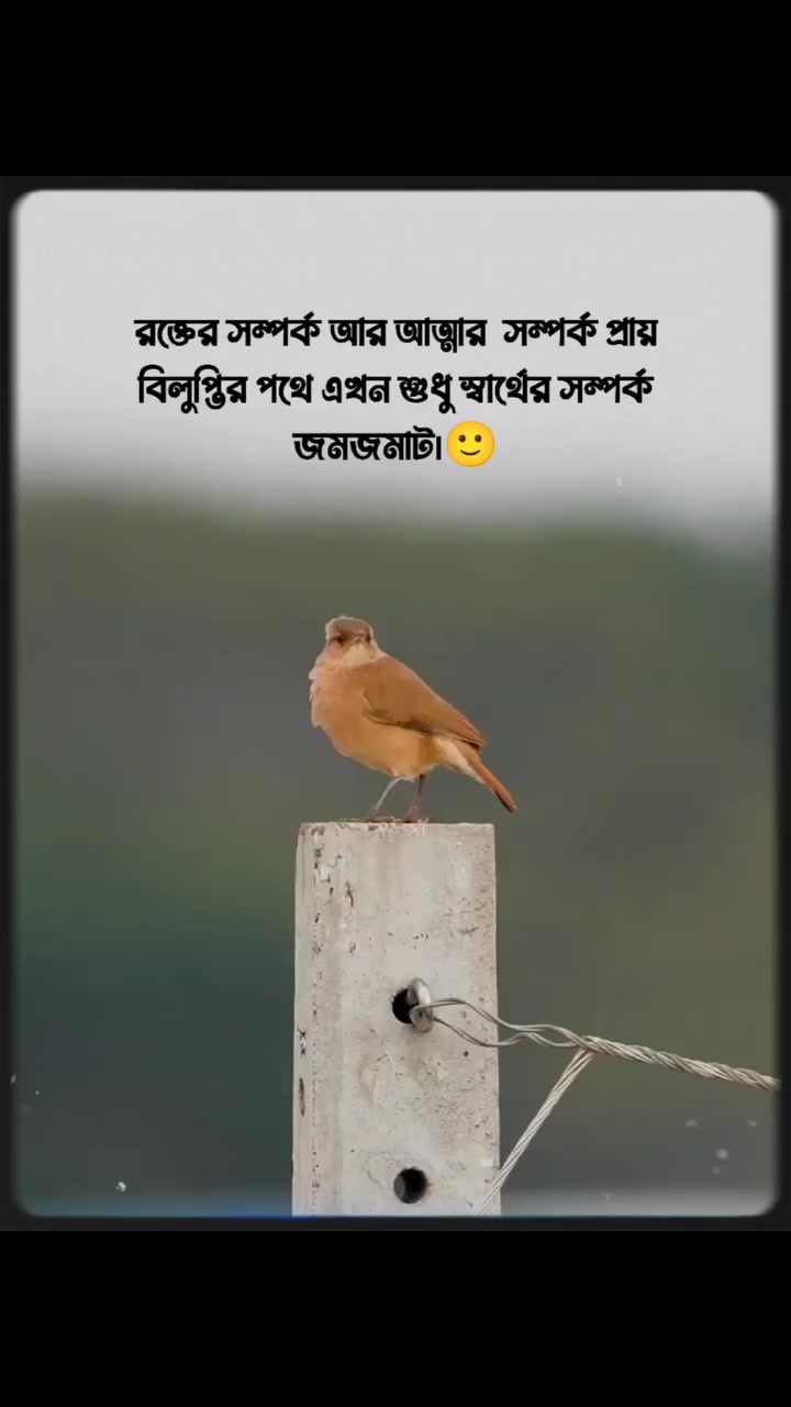 @🦋✨𝘏ᥲ𝕝𝑖ෆ𝕒✨🦋
