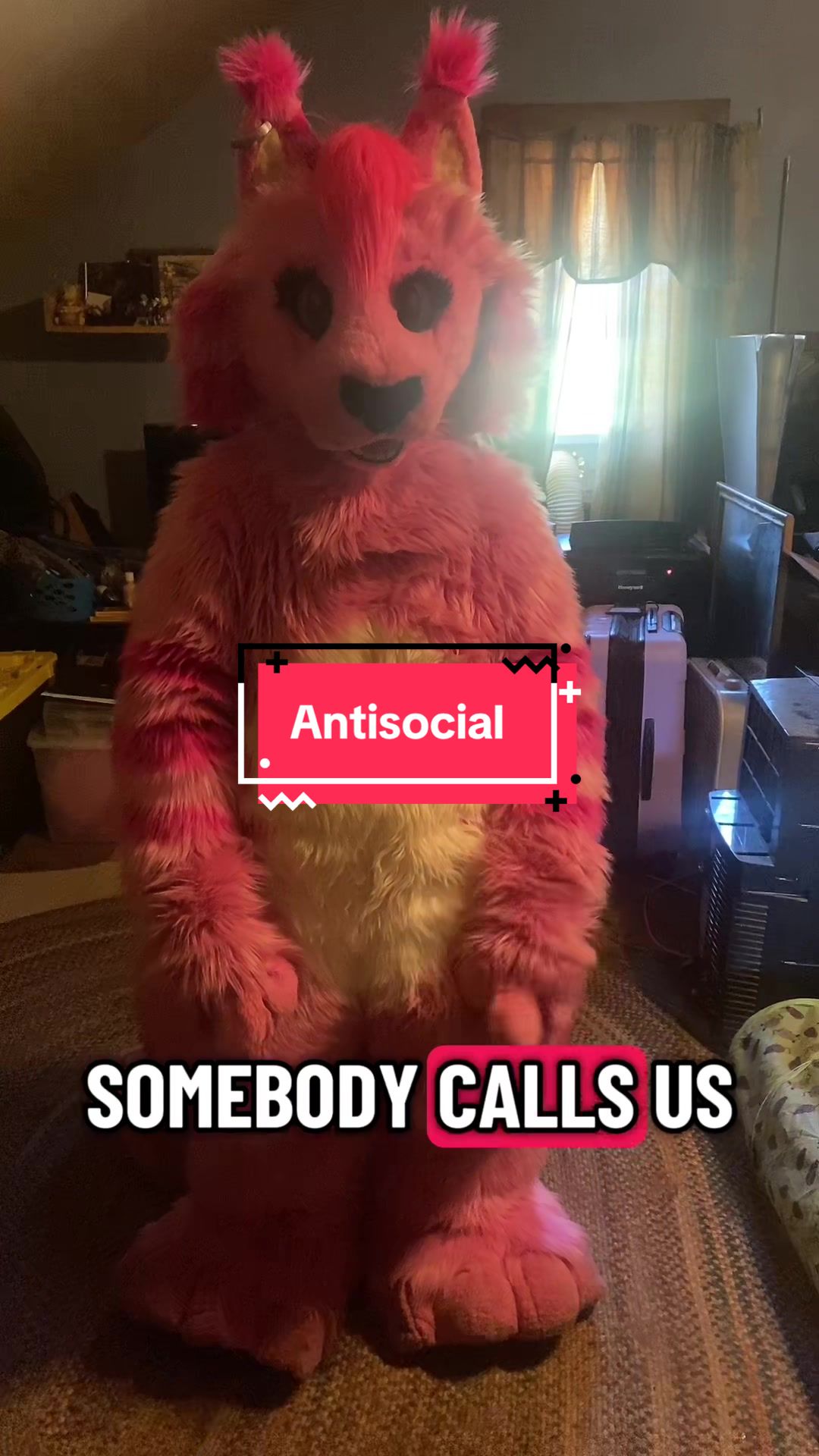 @Annakitty13