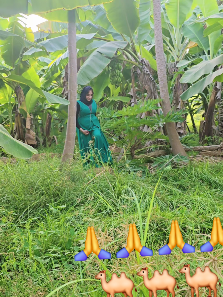 @🔐💔 കല്ലായി പെണ്ണ്, 🦅💃🏻🐎