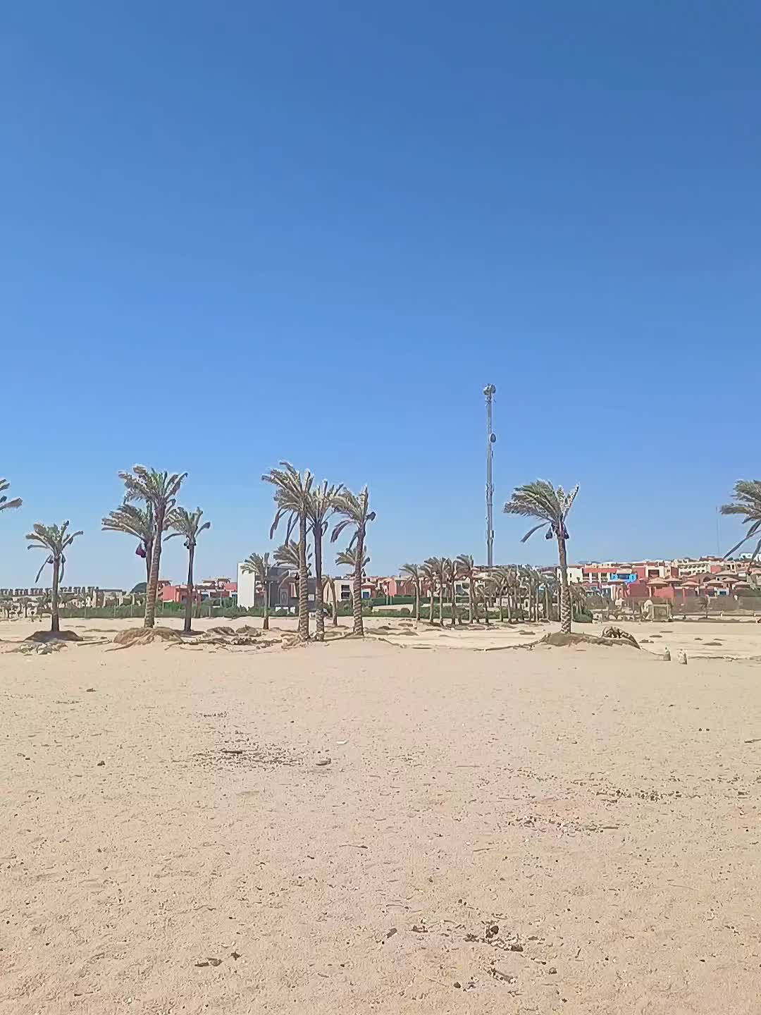 @giusy💪