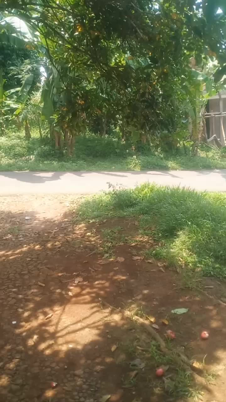 @Sanglad02