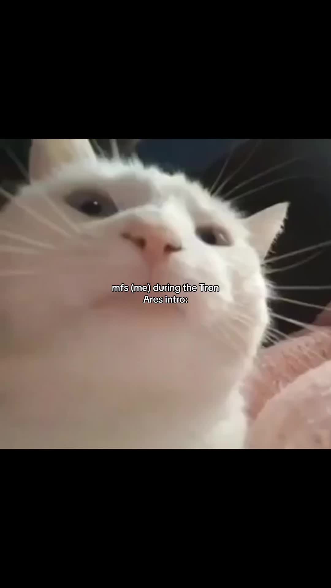 @switchy