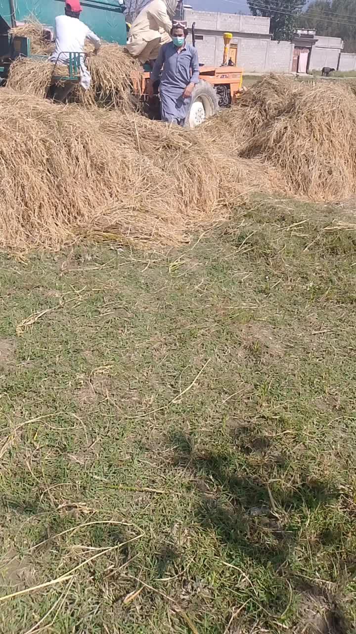 @Meraban Khan