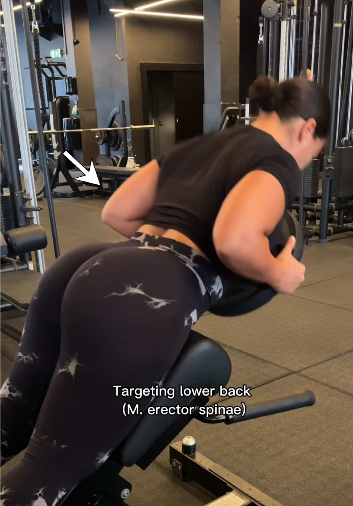 @Fitforcalis