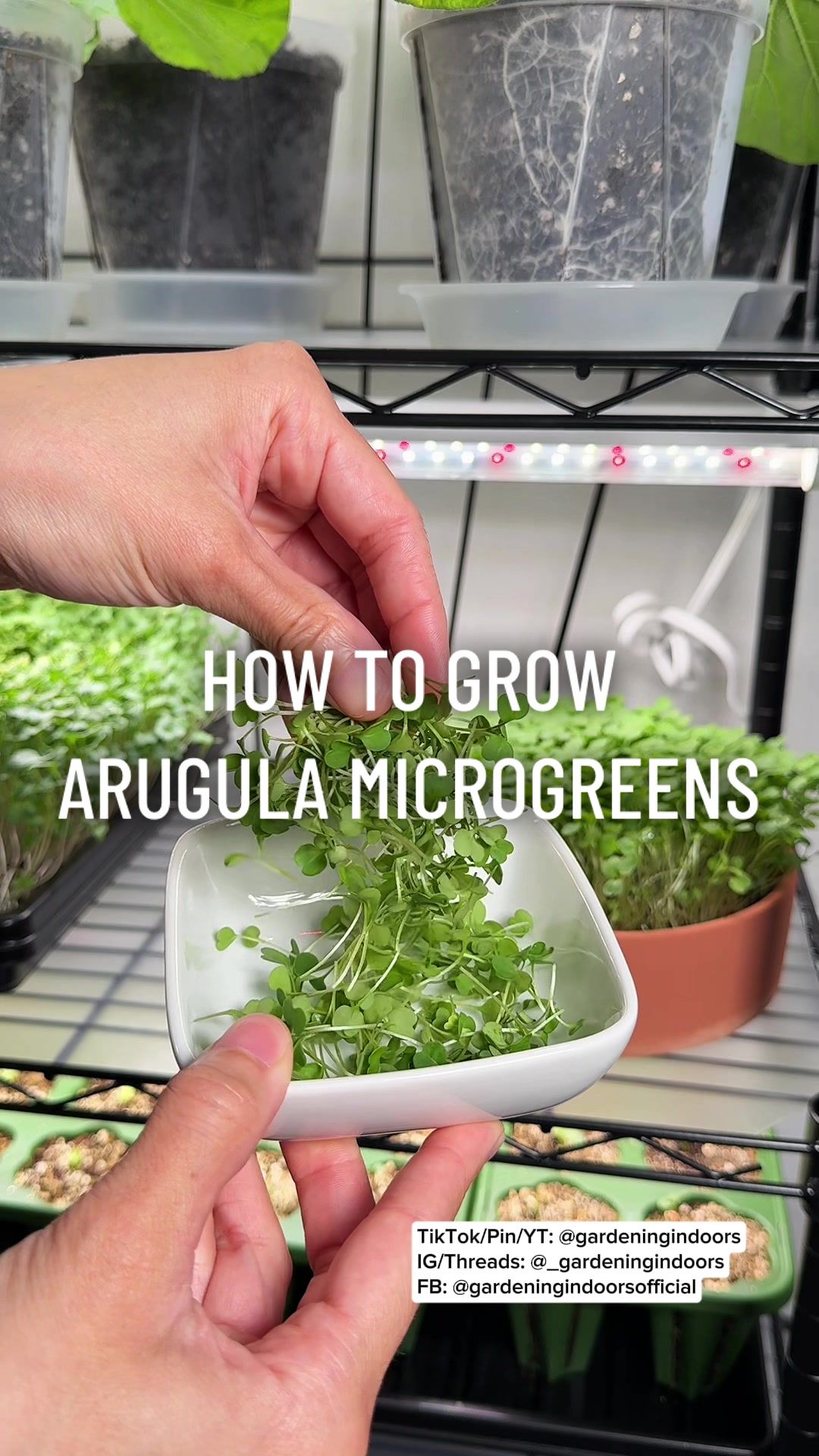 @gardeningindoors
