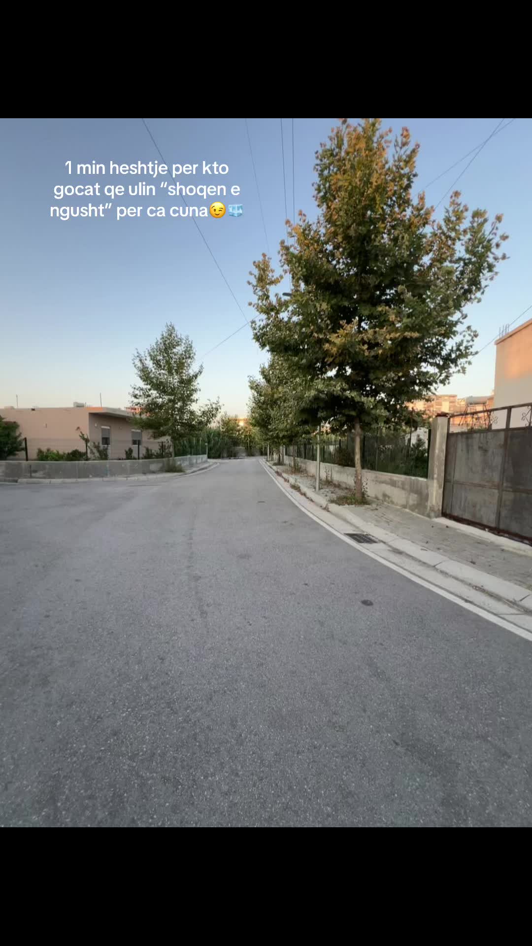 @🌚