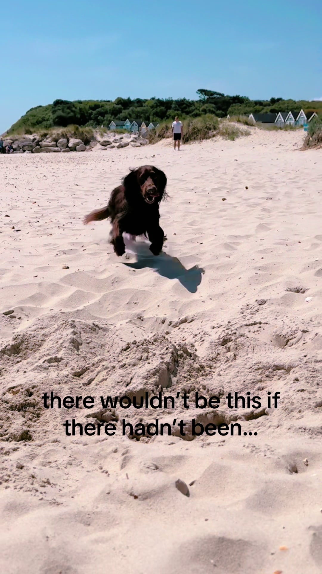 @Tara and Moose 🐾