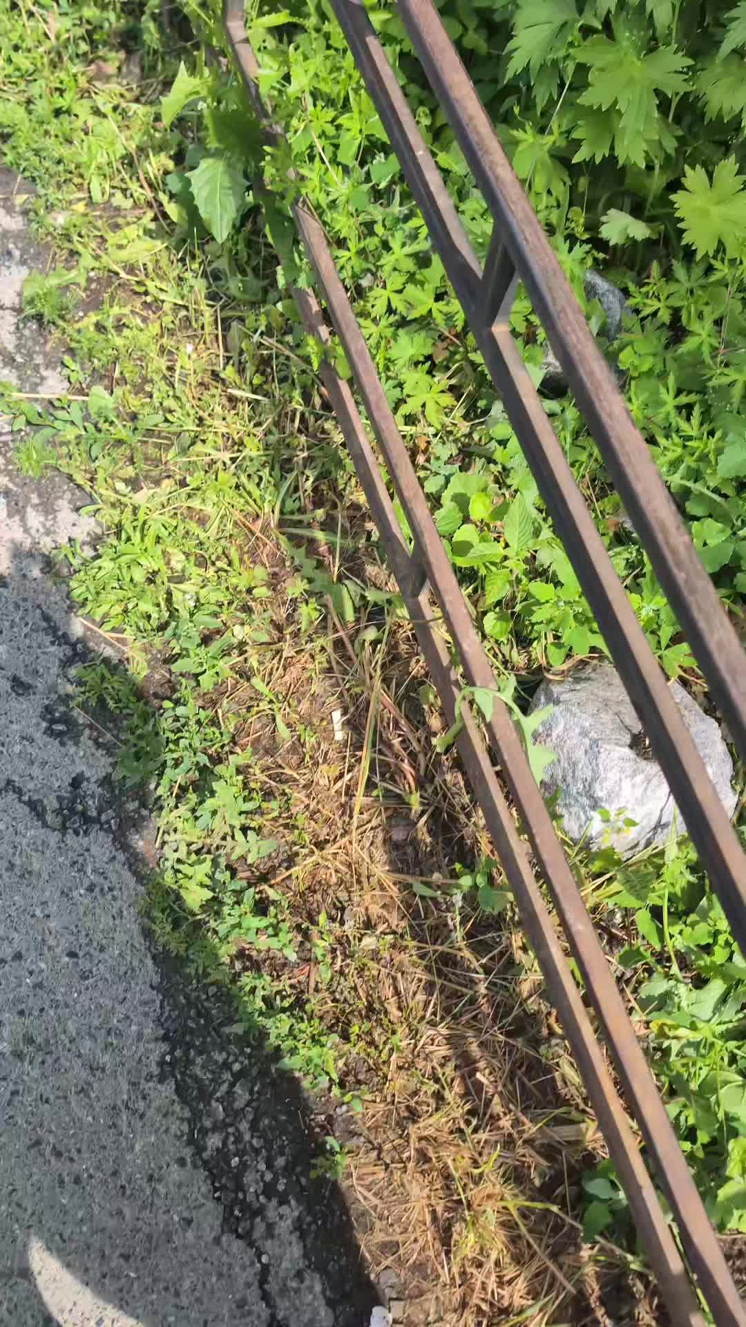 @CXLRT