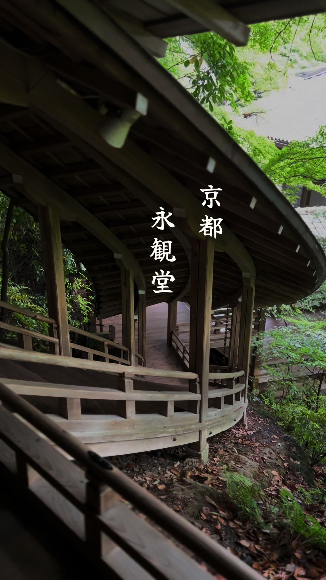 @トモヒサ🗾