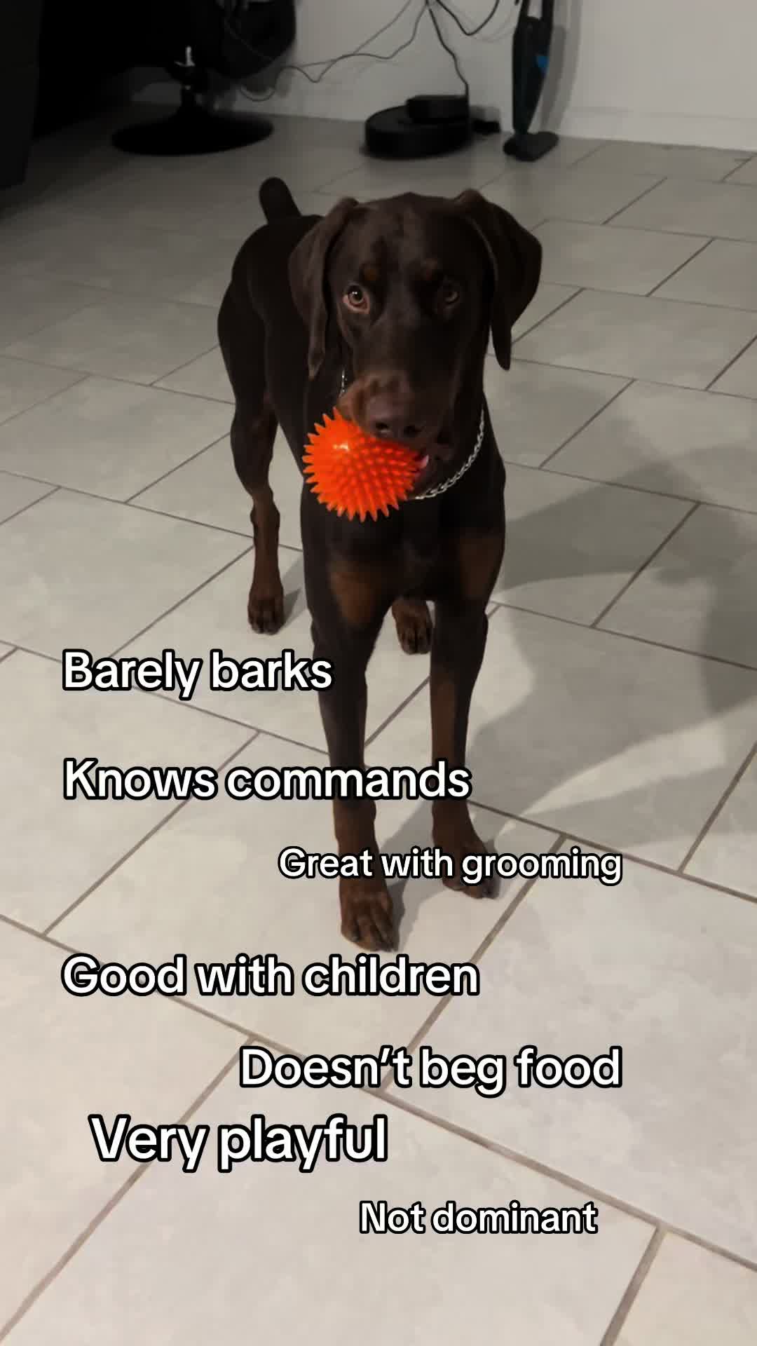 @Draco Banano