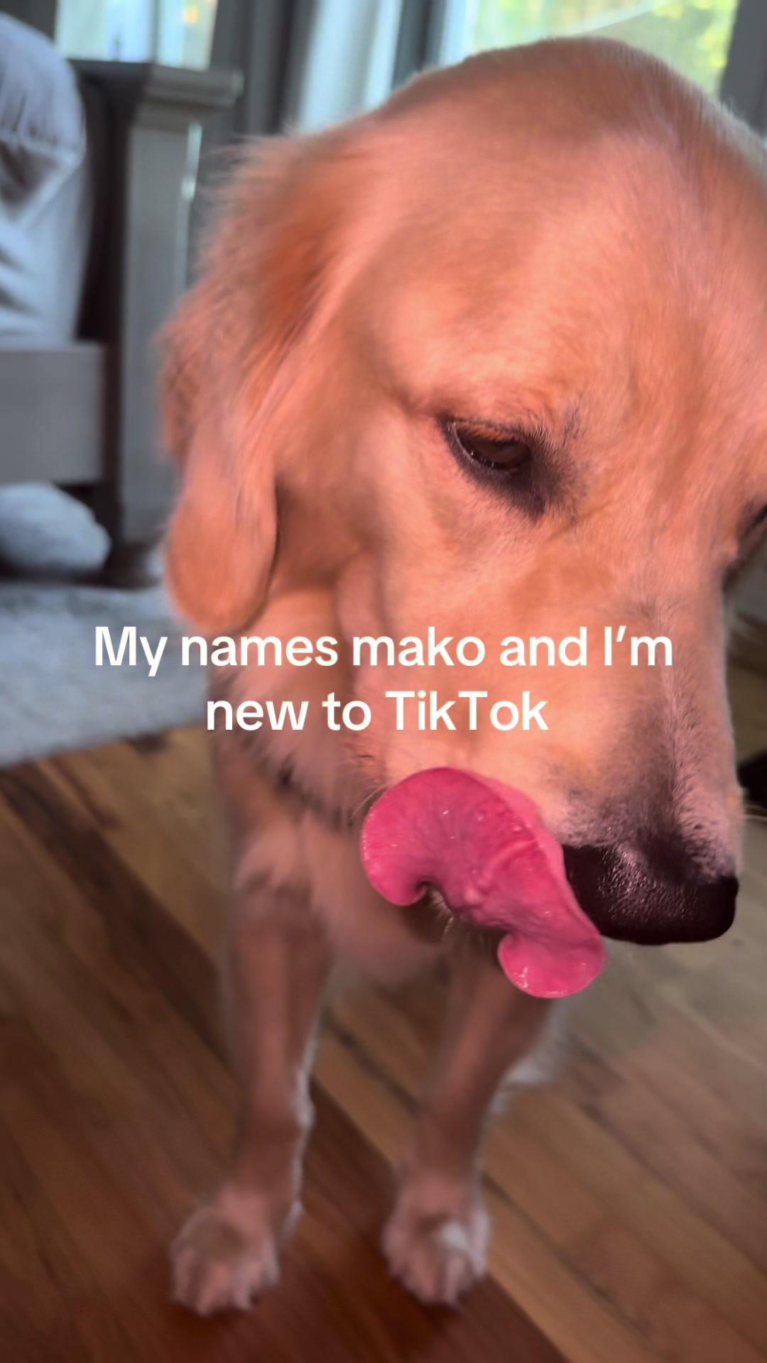 @makosworld