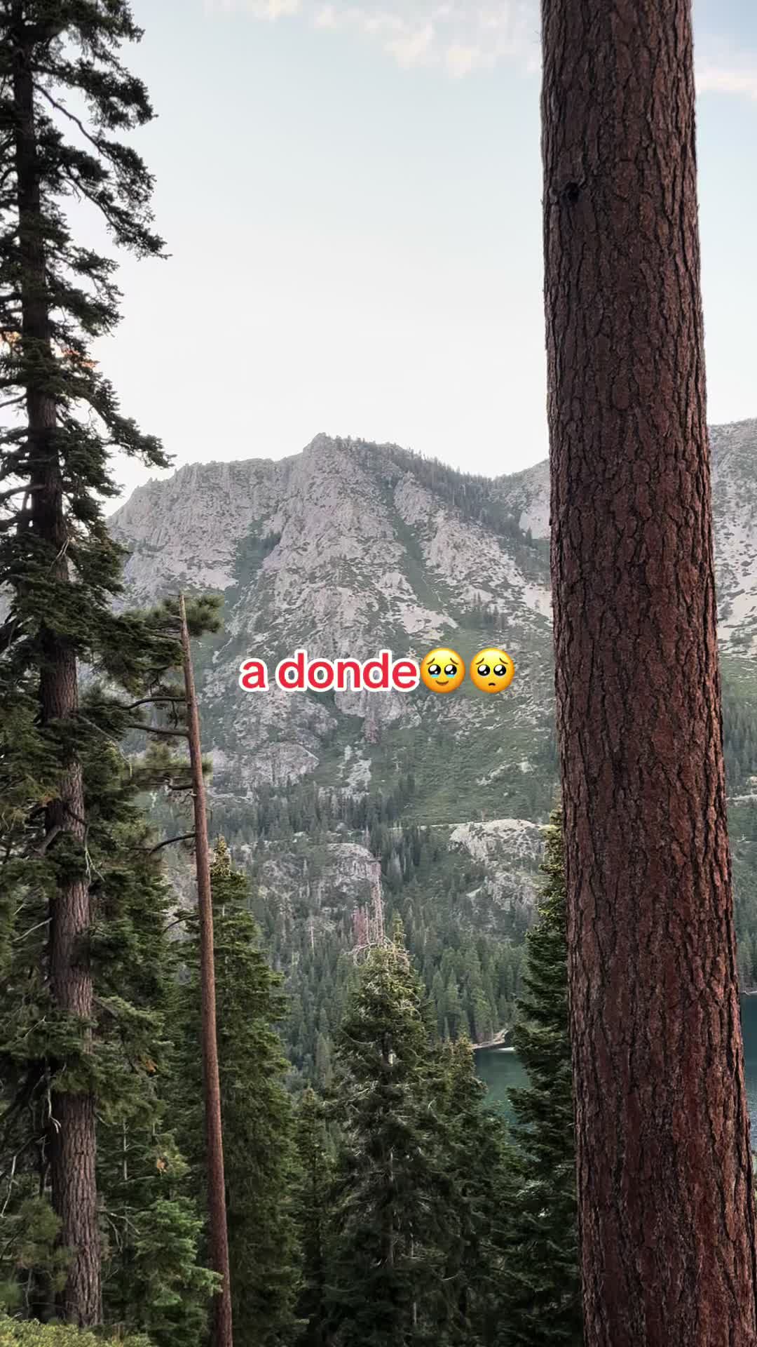 @DEA