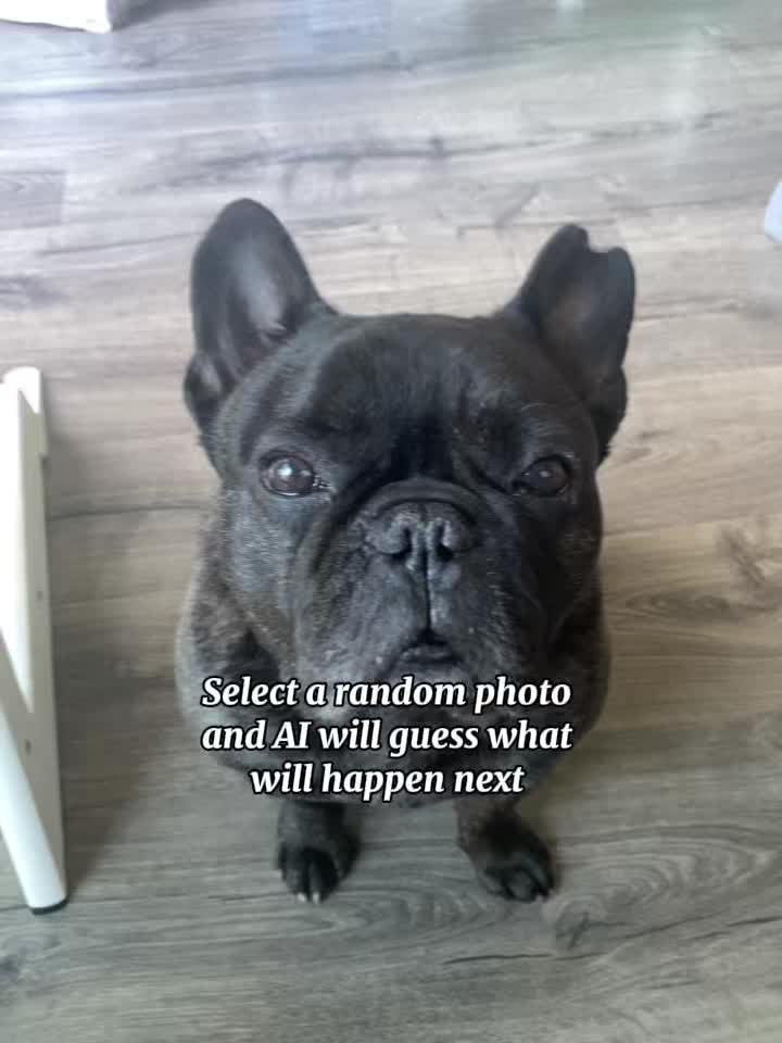 @Bruno the Frenchie