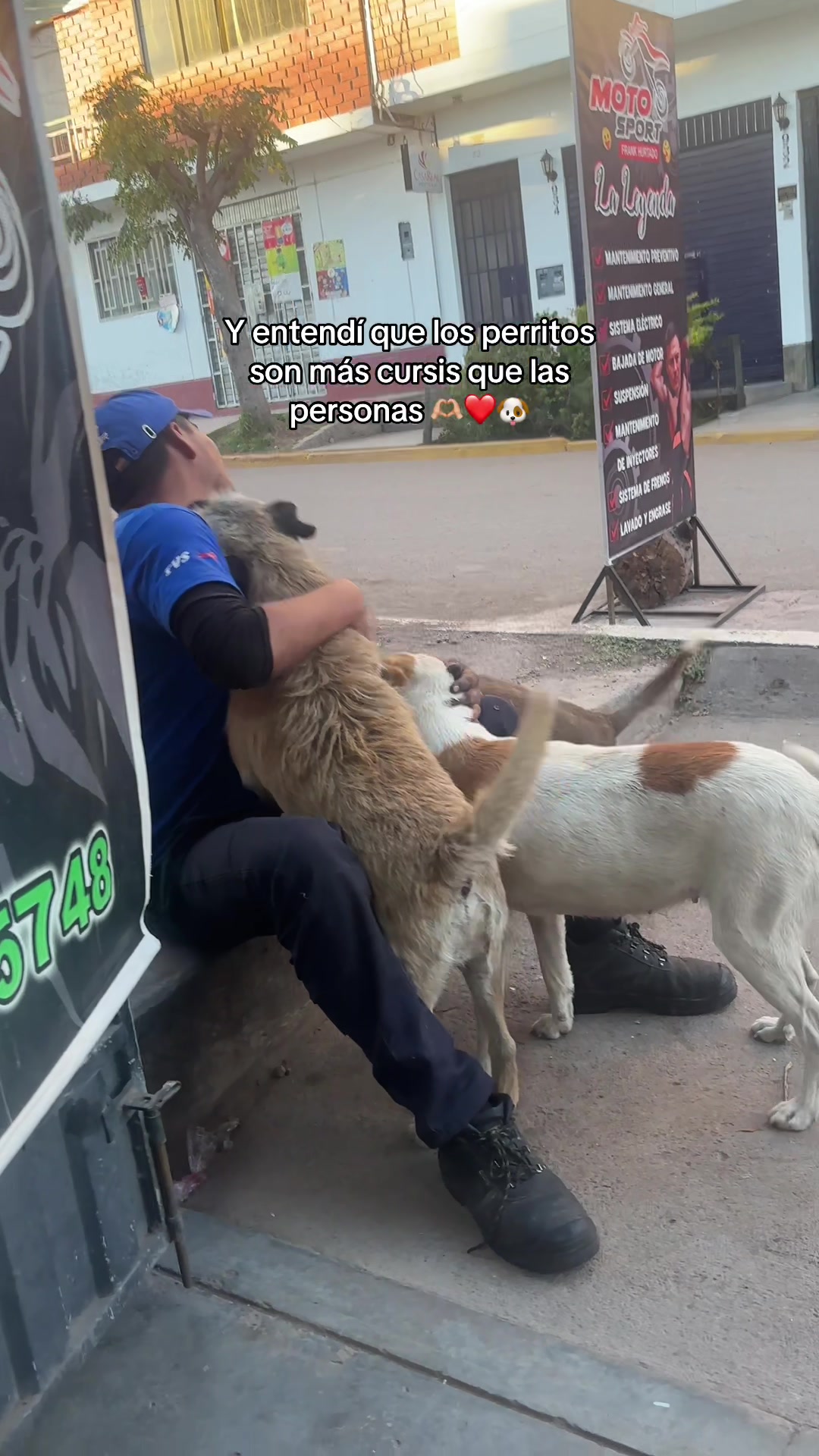 @Cabezotas 🐶