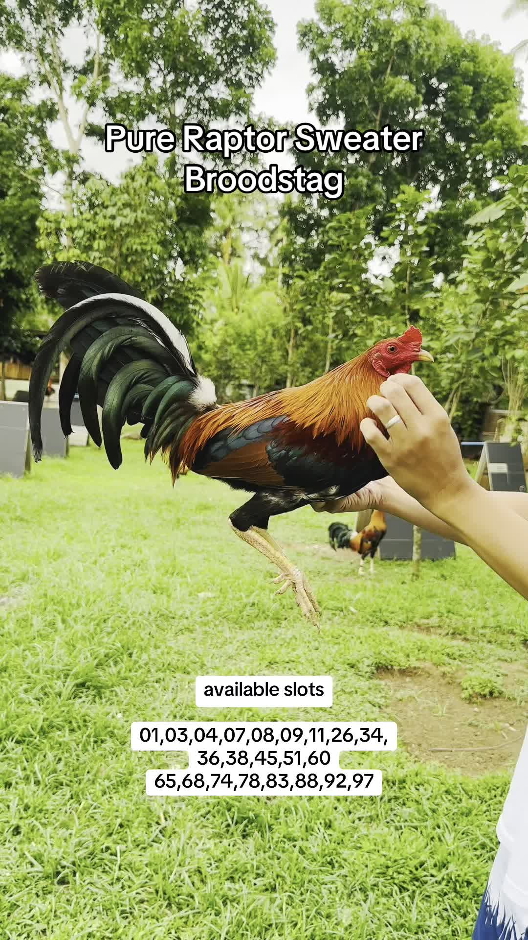@Superline Gamefarm