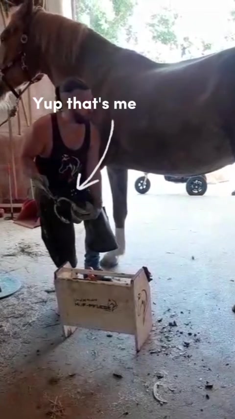 @Julian 🐴