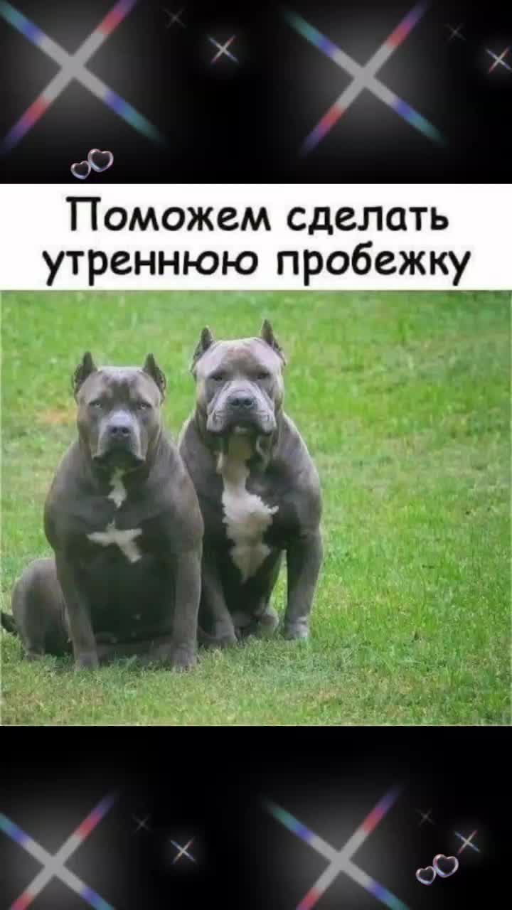 @Елена