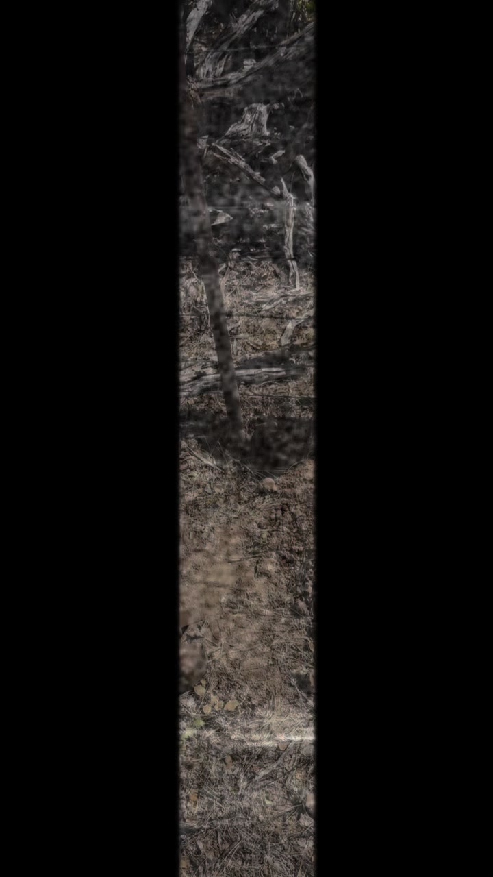 @ibsenmw
