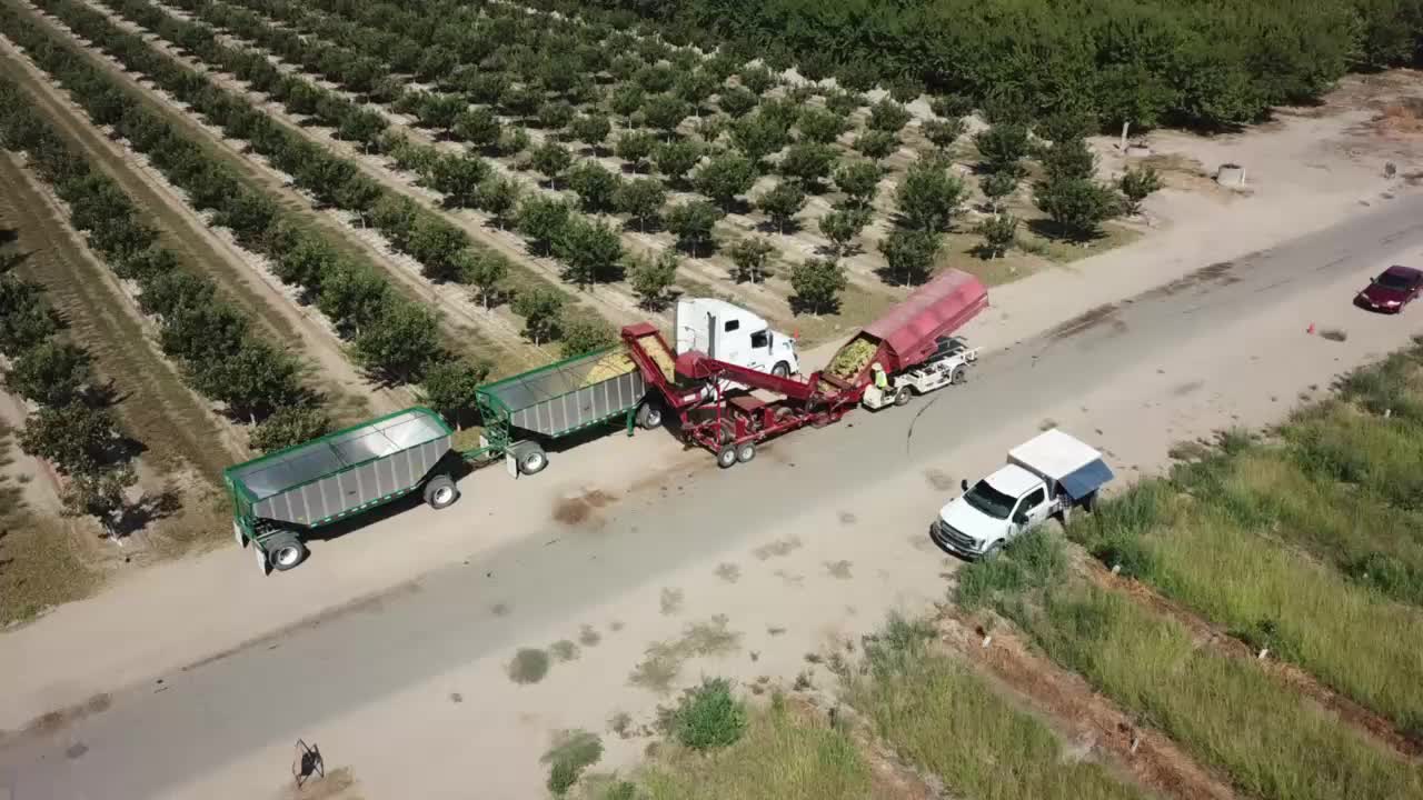 @AcemiNursery