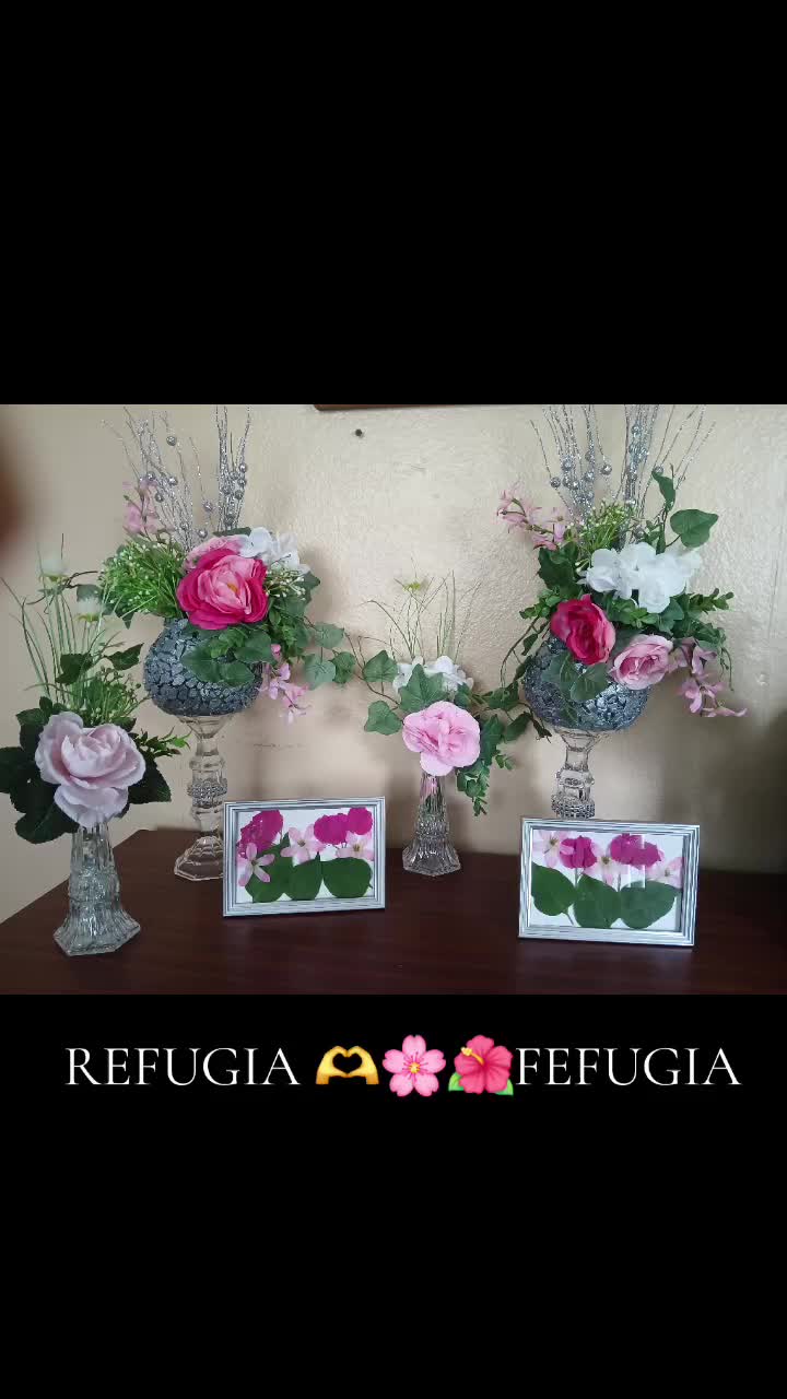 @refugia