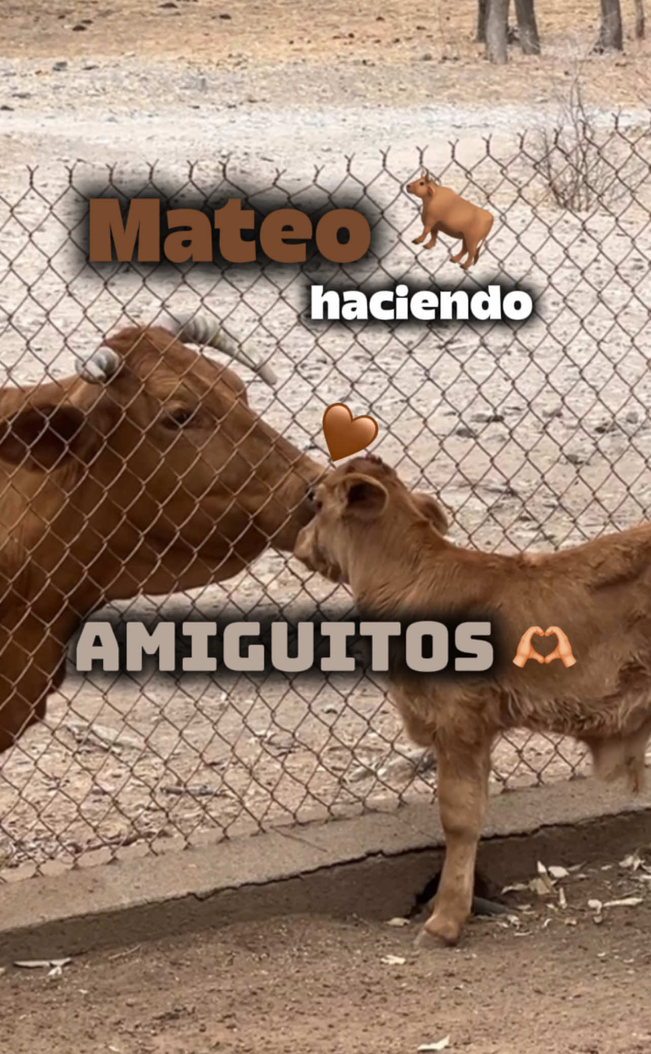 @Alejandro Molina