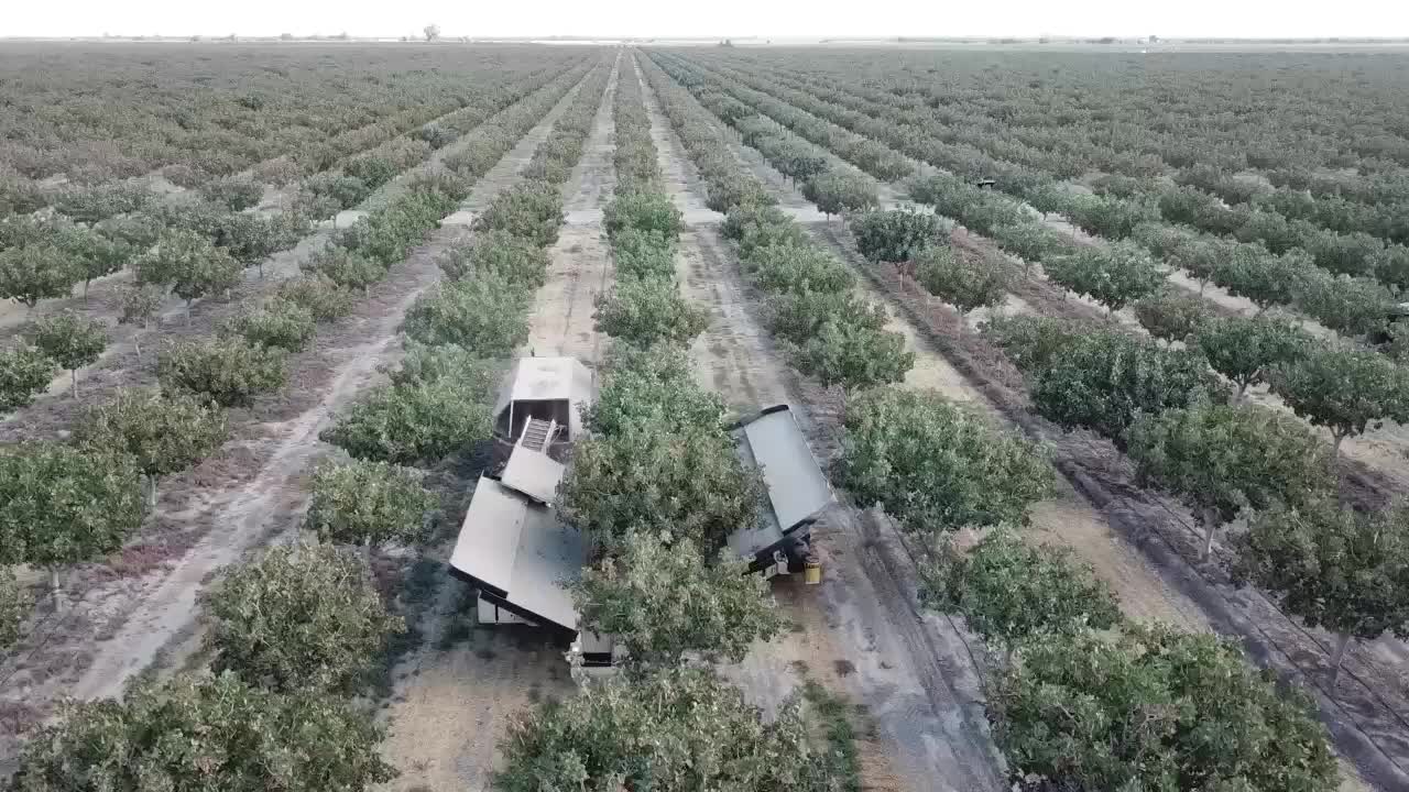 @AcemiNursery