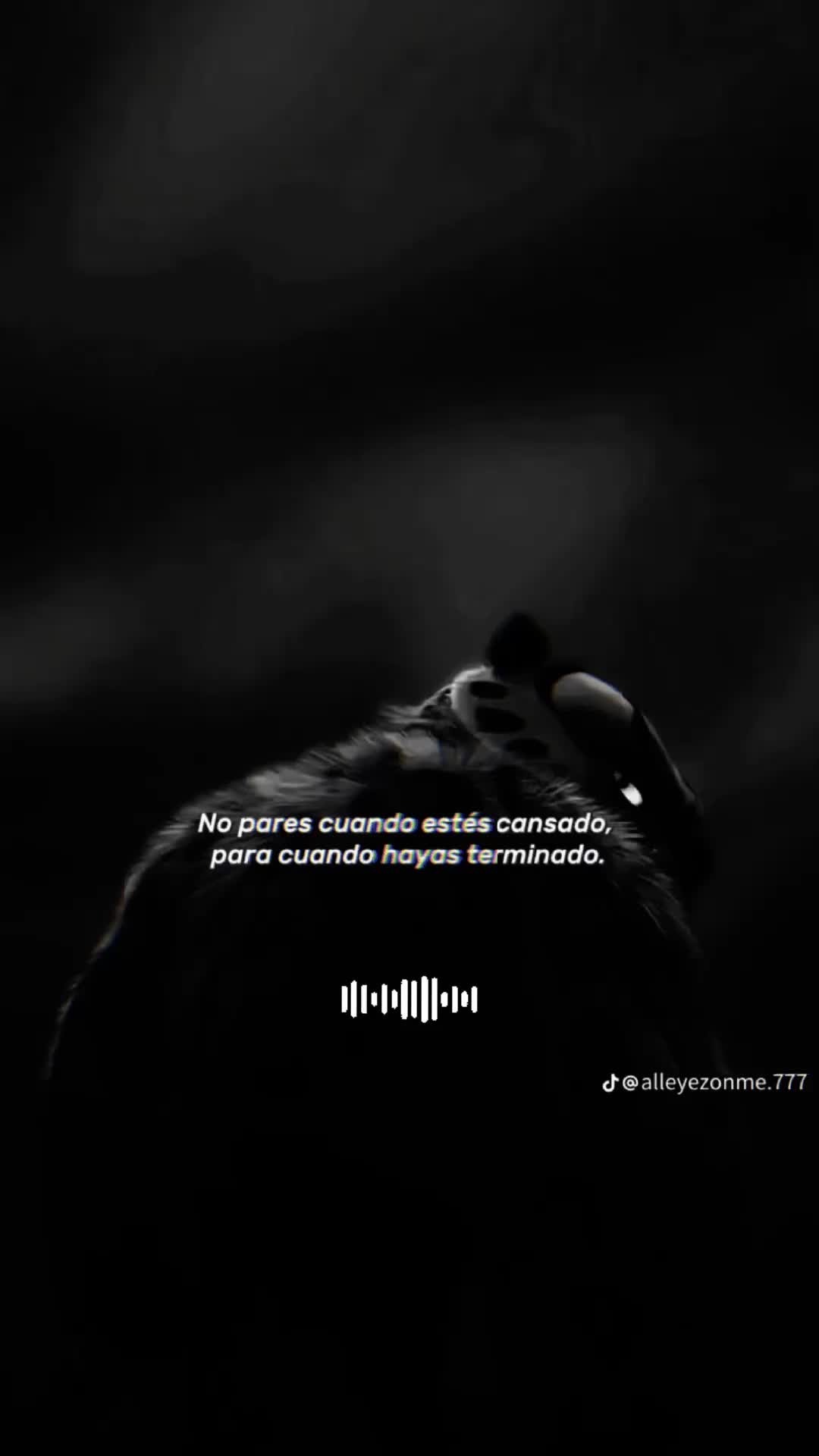 @ARMANDO