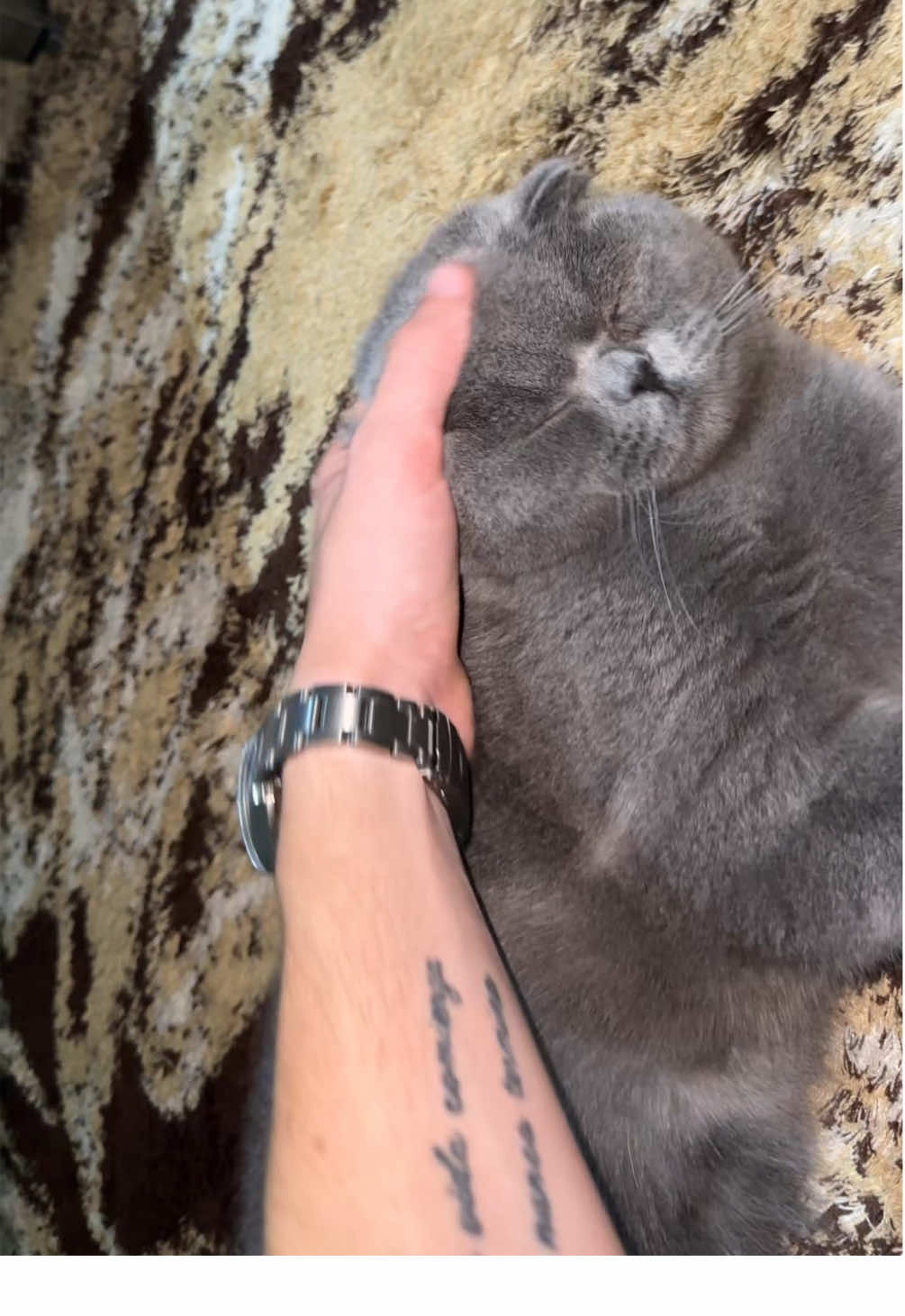 @BOBI🐈&zwj;⬛