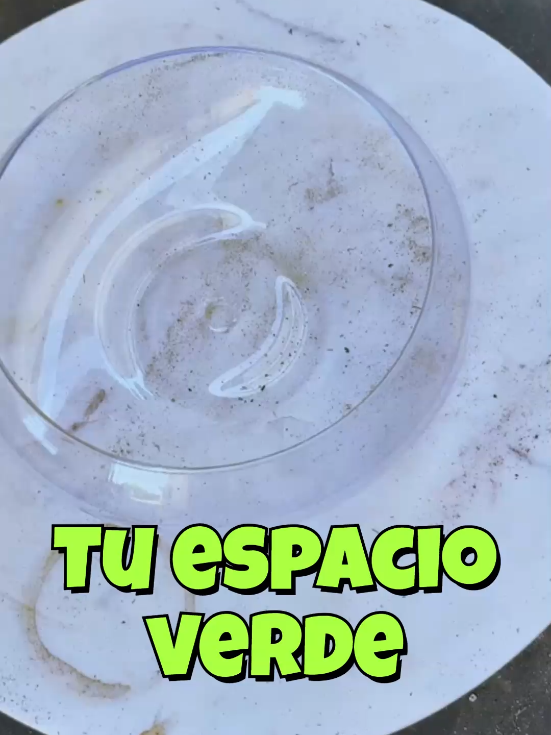 @Cactus y Suculentas