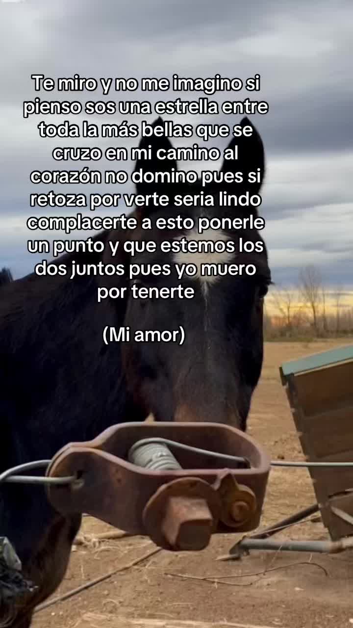 @Sann