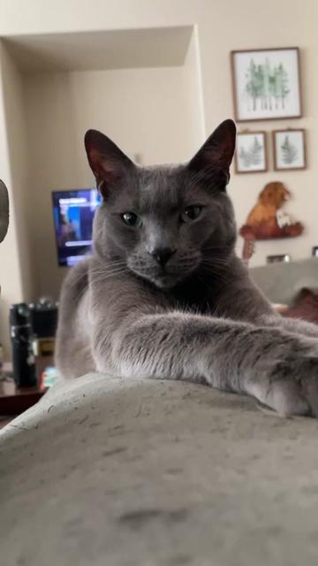 @ACatNamedMushroom