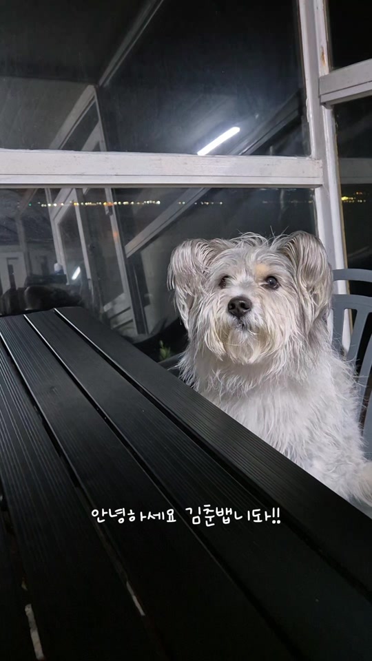 @춘가드