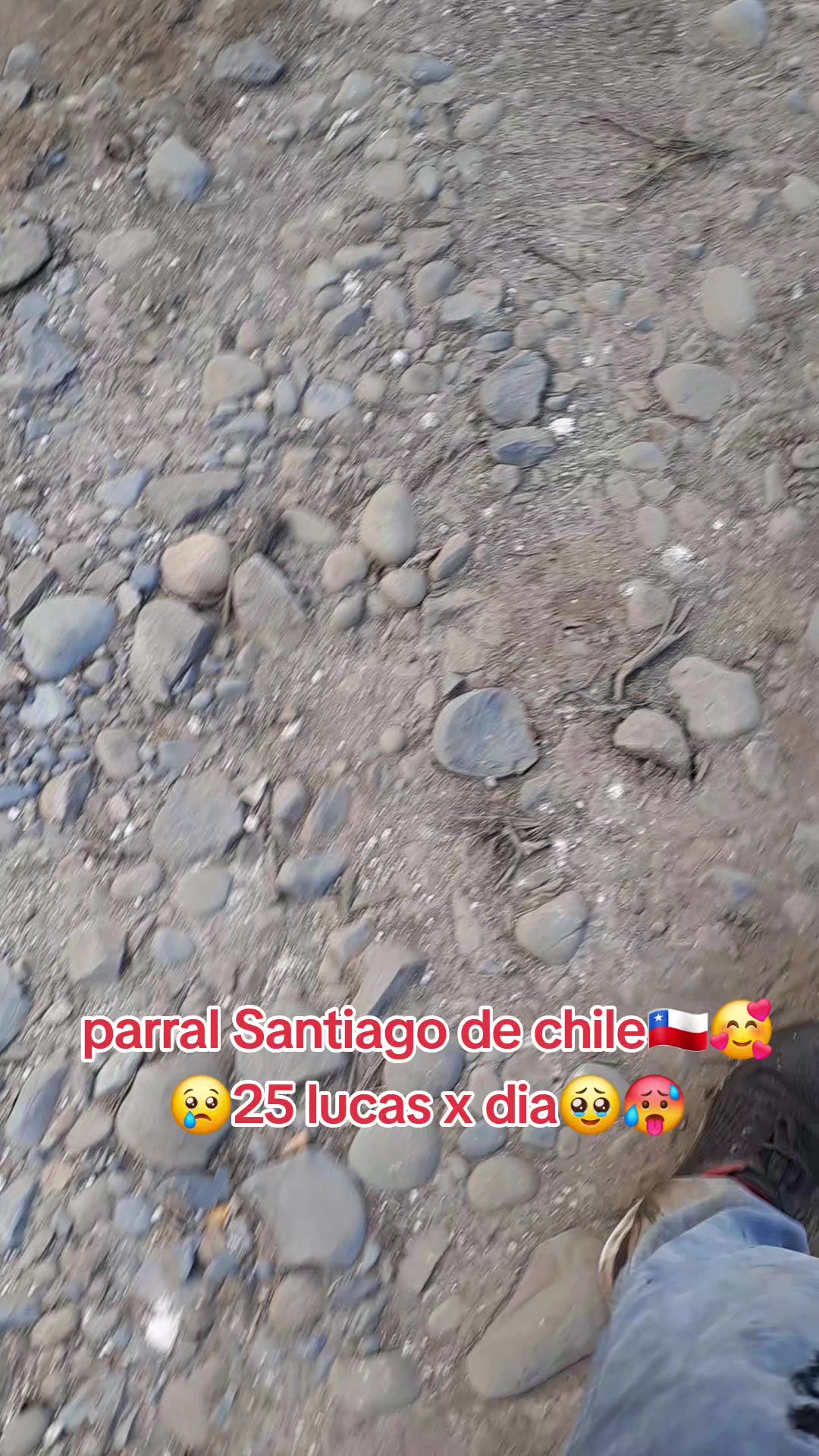 @⁴⁰⁴亗&bull;♡&bull;Alex Salinas &bull;♡&bull;💜☠️☠️
