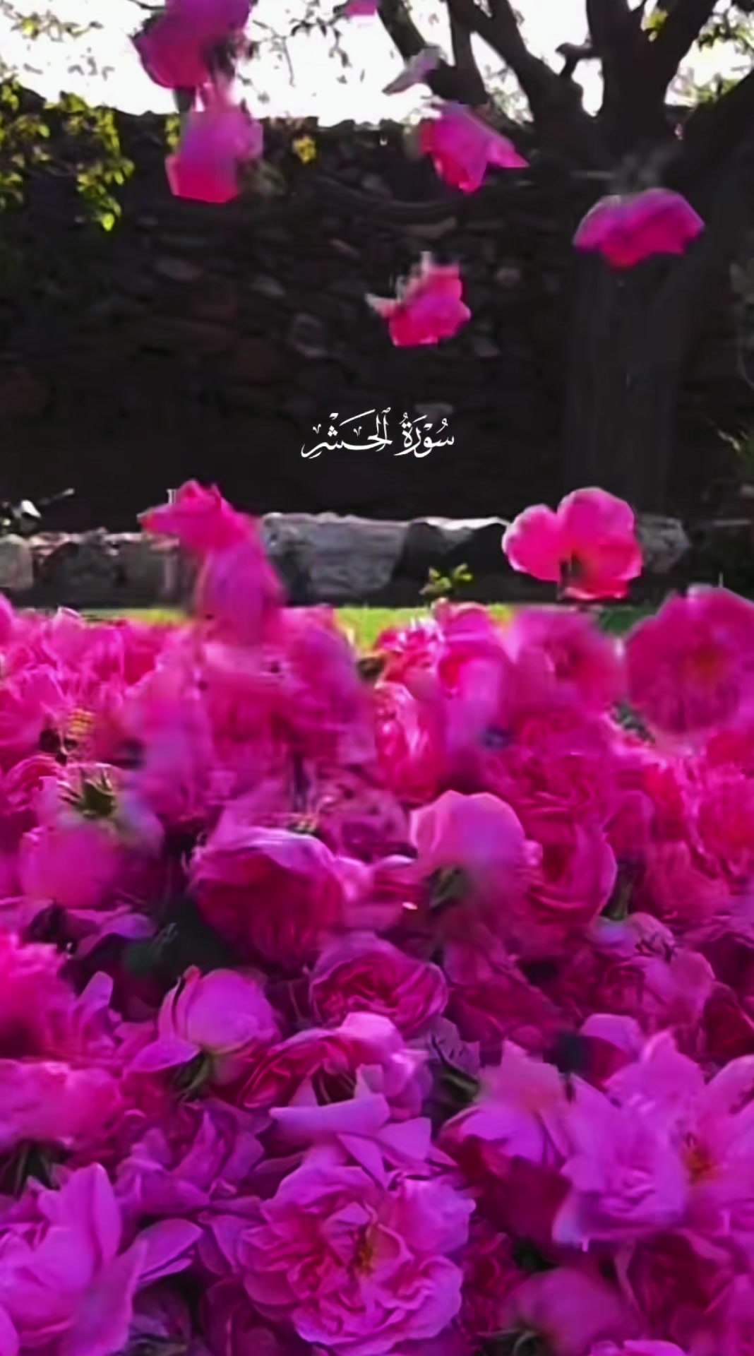 @Om MARAM
