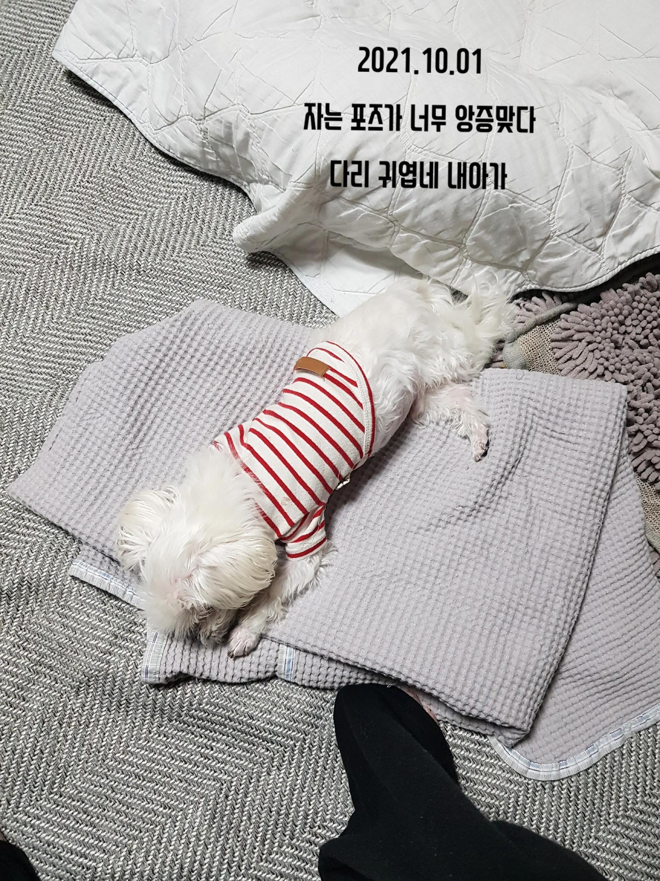 @초롱맘