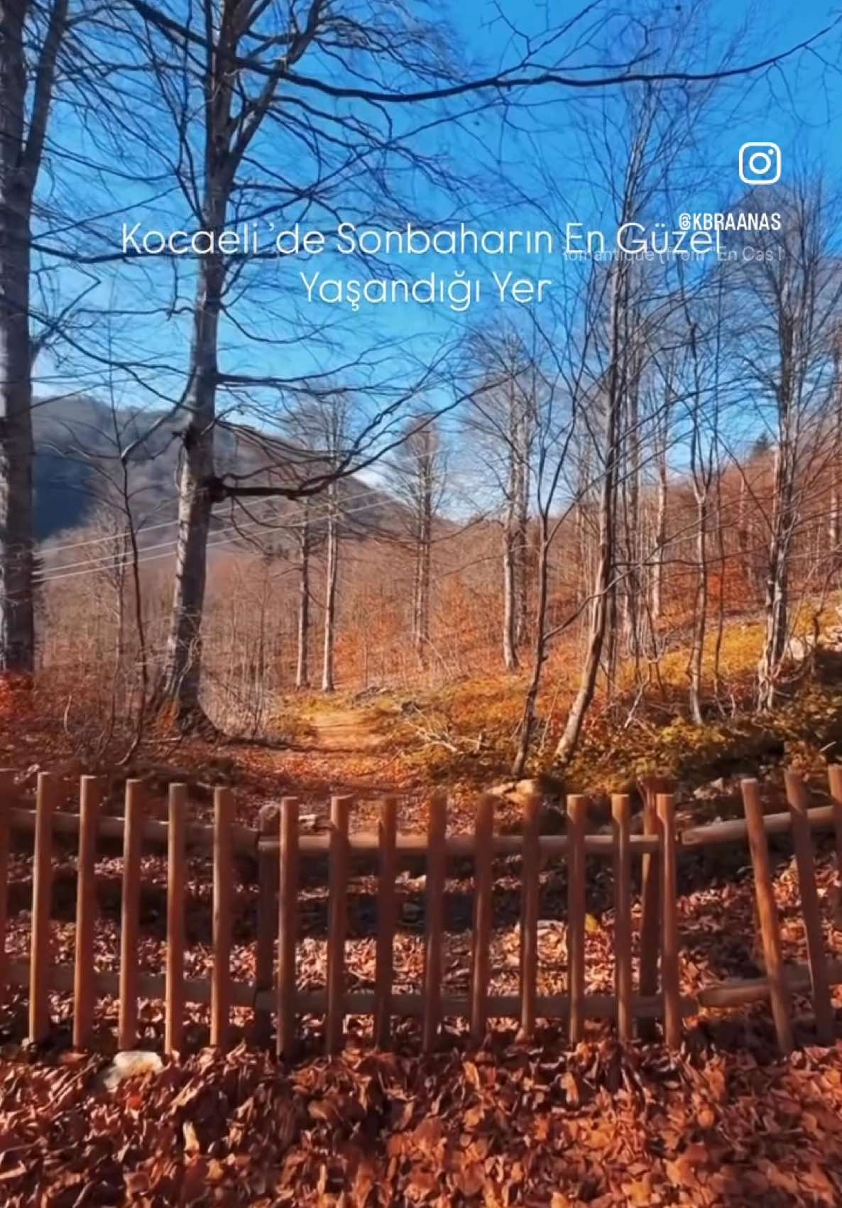 @K&uuml;bra Nas