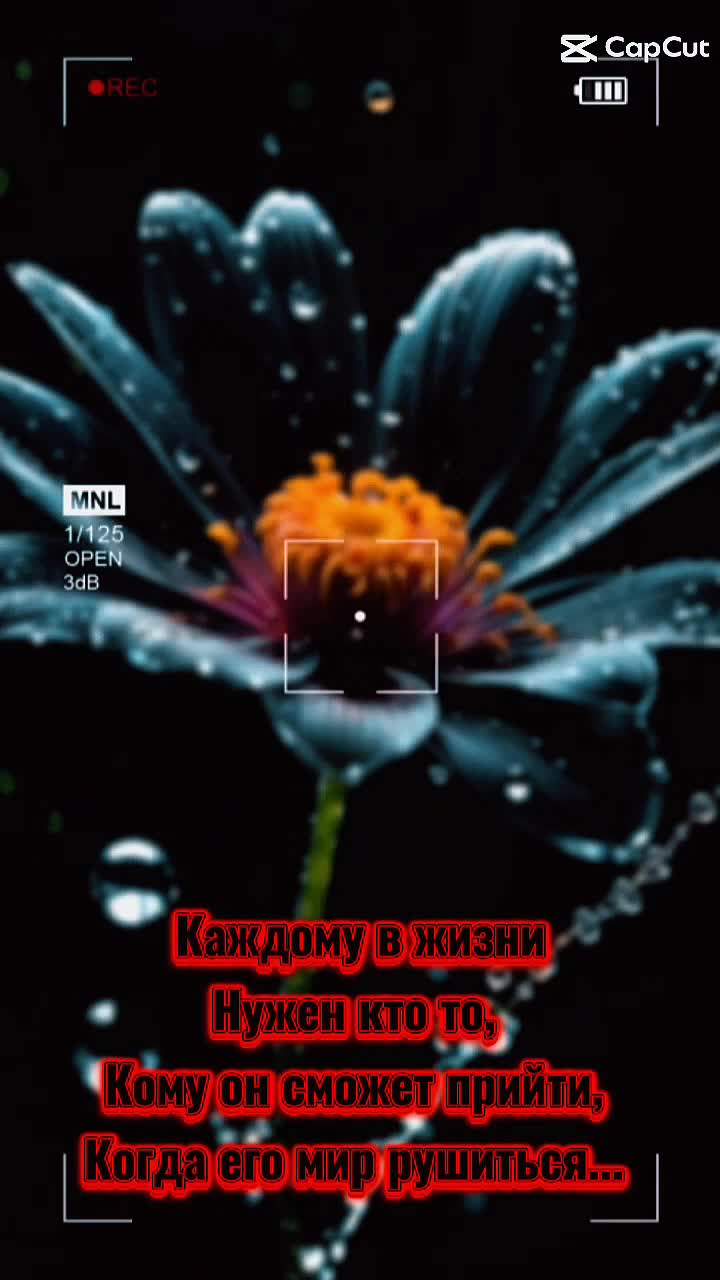 @#Цветик#