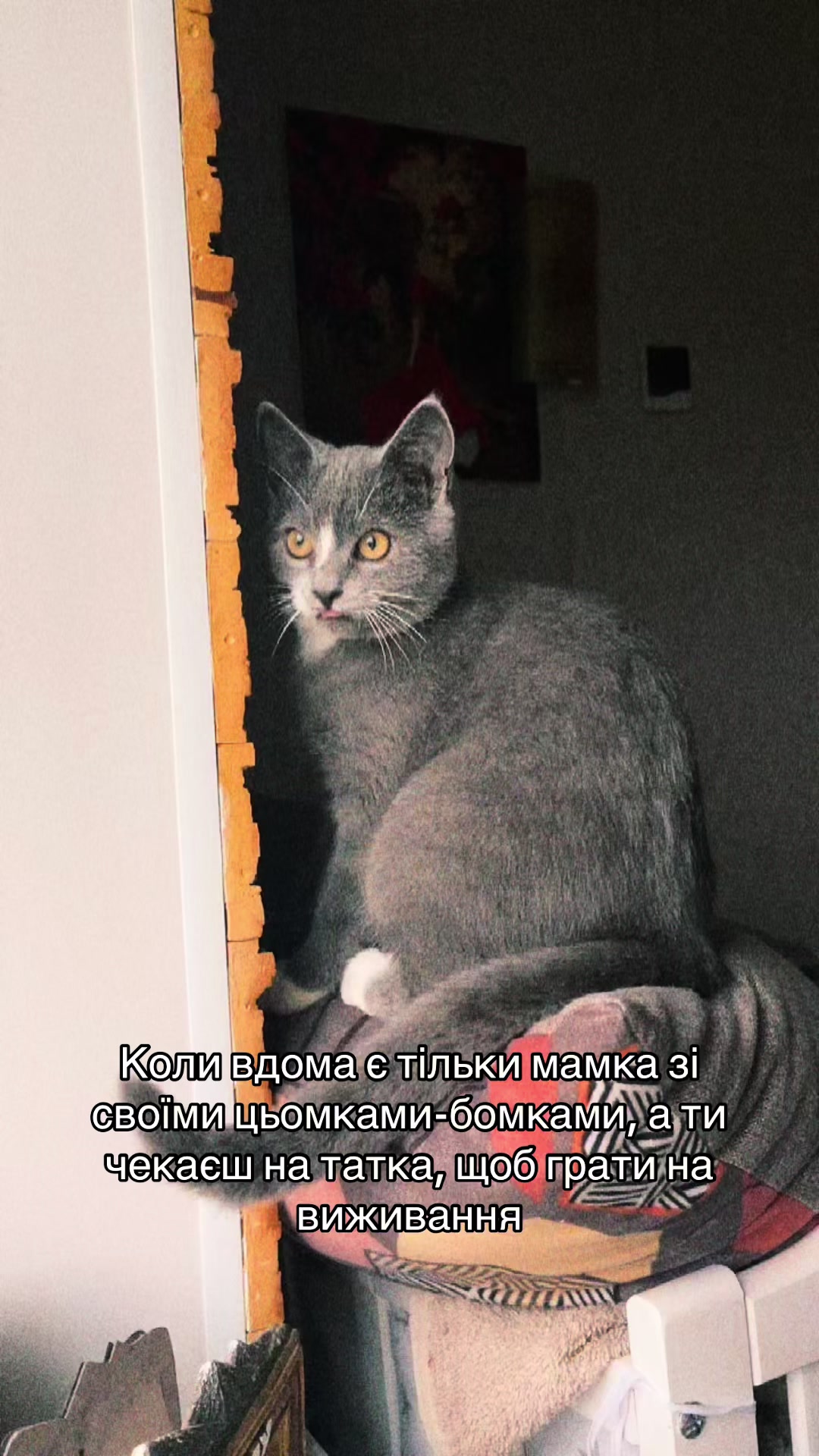 @🖤MALA_LЮля_Юріївна🖤