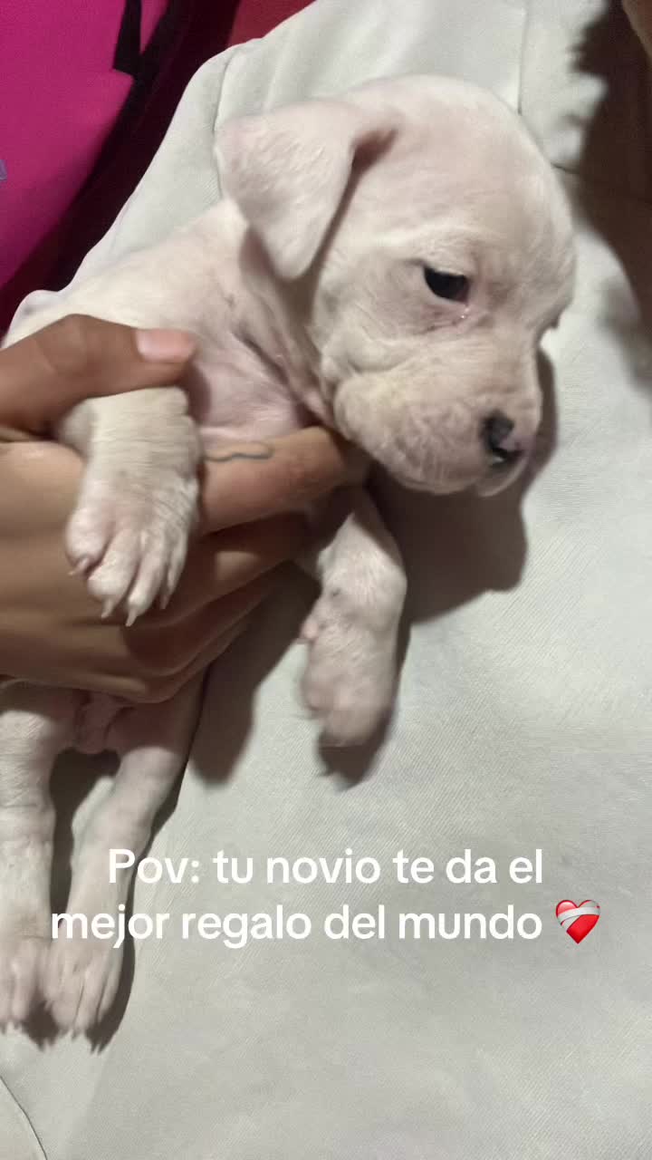 @rocioyleoo