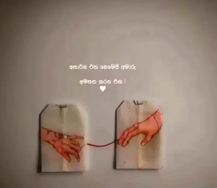 @M"🤍🌹