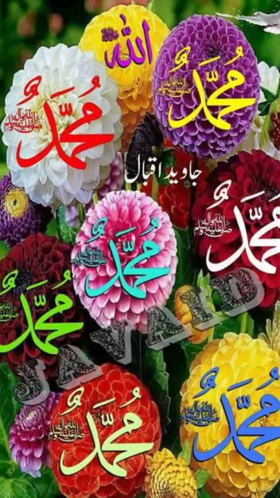 @Asif Bilal Mbilal
