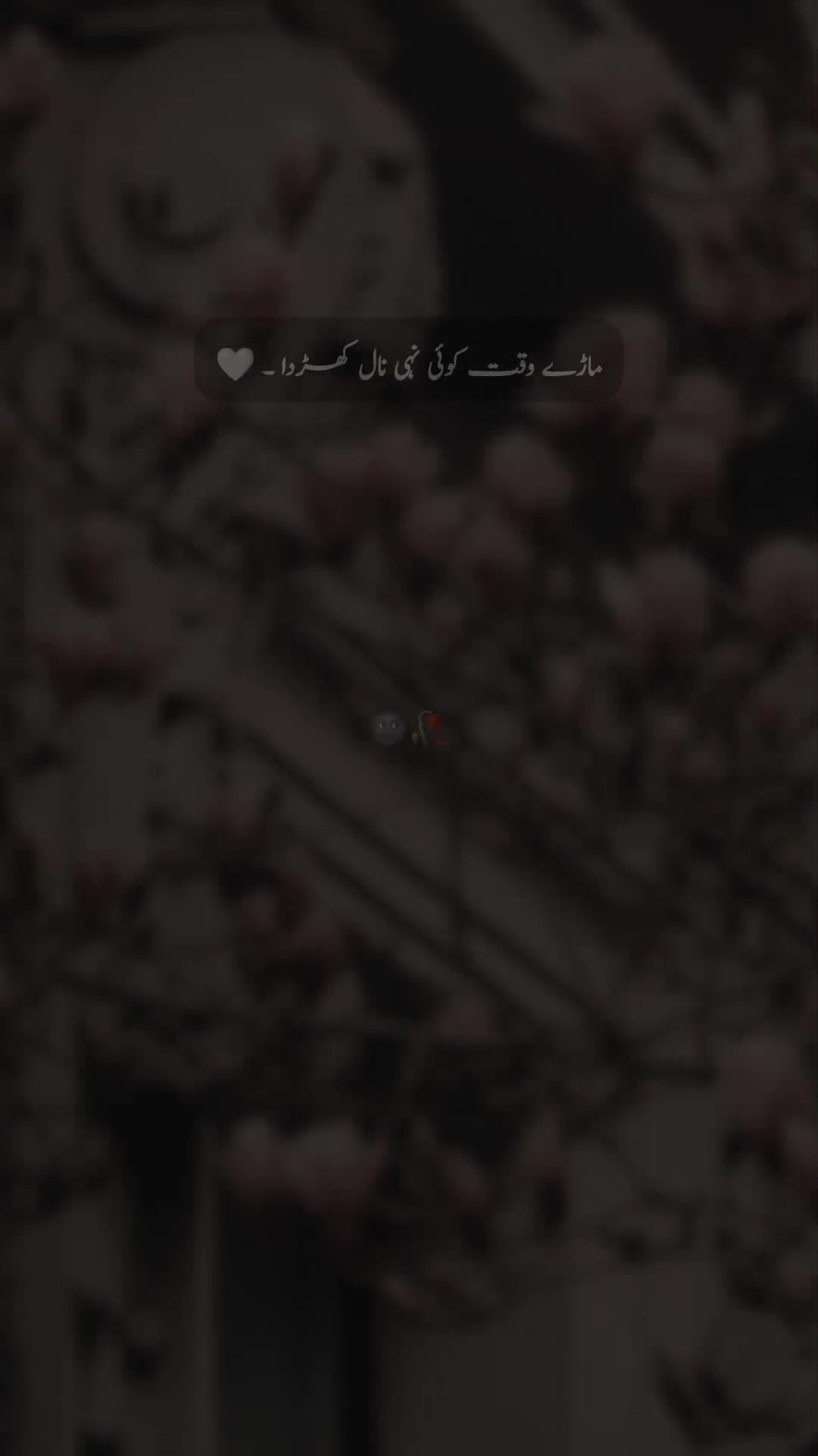 @𝐒 𝐚 𝐌 𝐢 🍂🫀