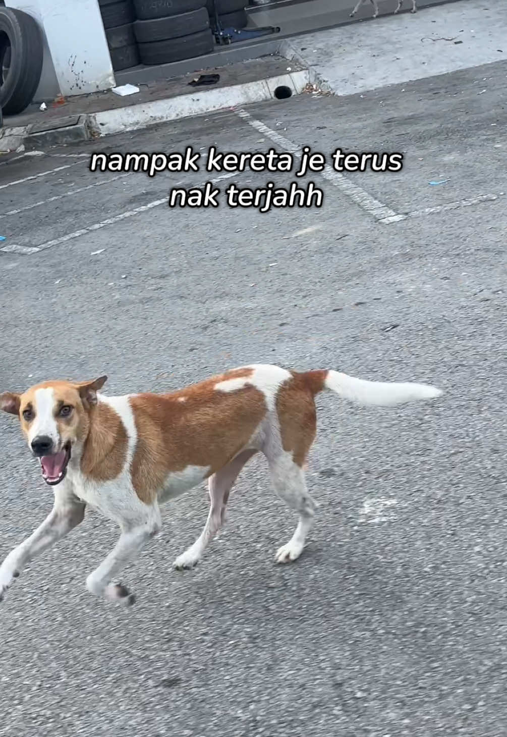 @Airis Yasmin