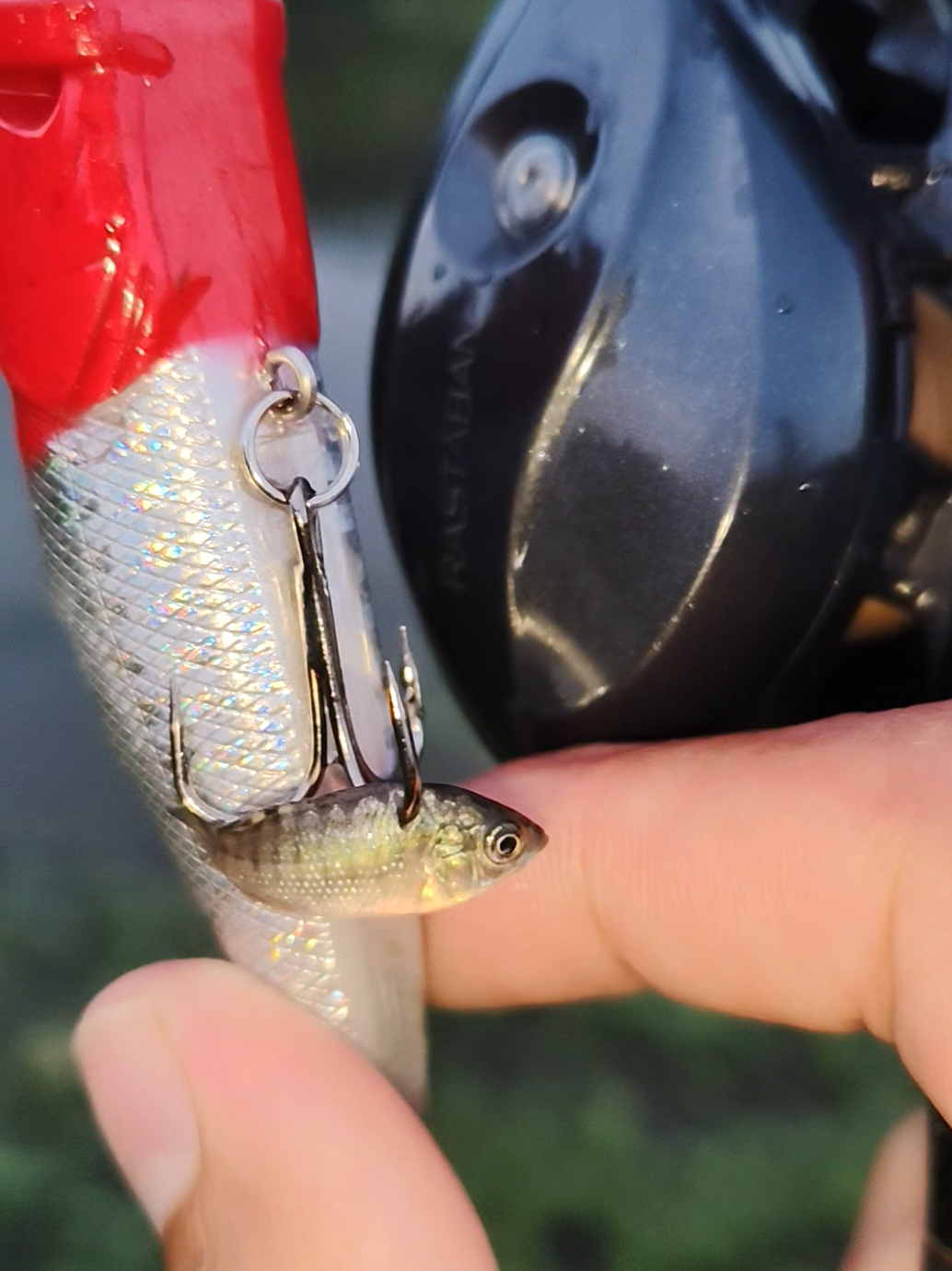 @gustavxfishing