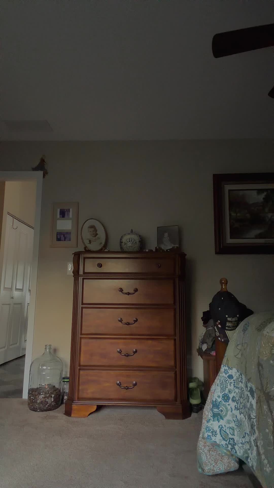 @jimbrown97