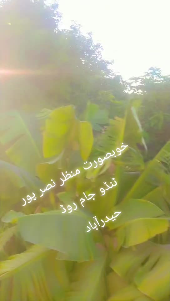 @(محمد یونس)