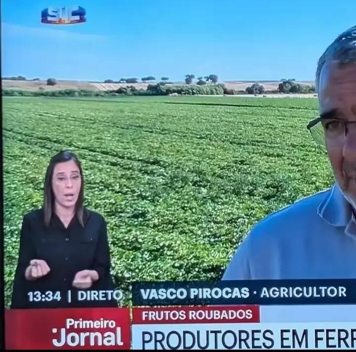 @panquilh&atilde;o