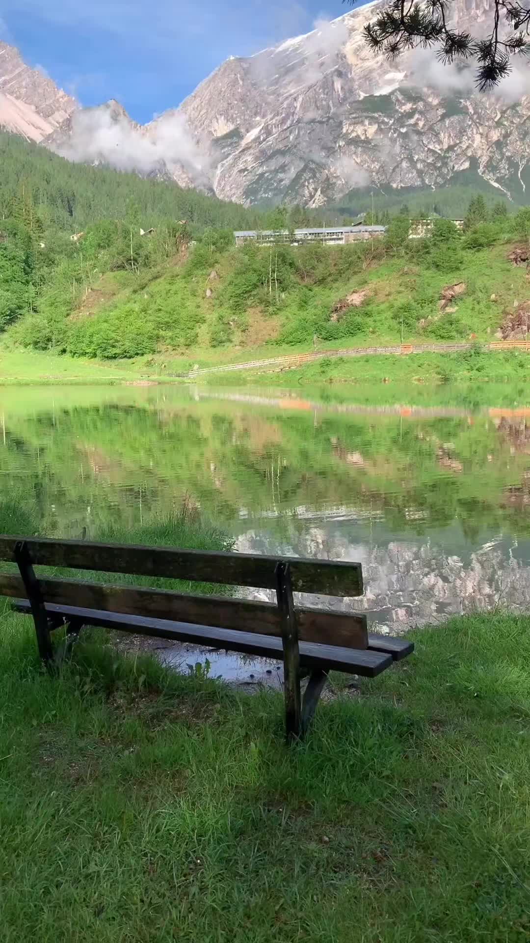 @Cecilia M✨️