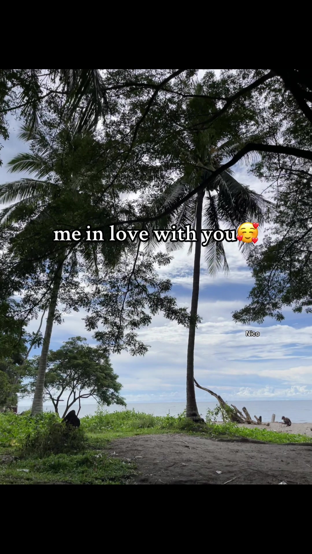 @Nico
